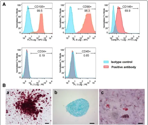 Fig. 1 Mesenchymal stem cell characteristics of hDPSCs. A hDPSCs expressed surface mesenchymal stem cell markers