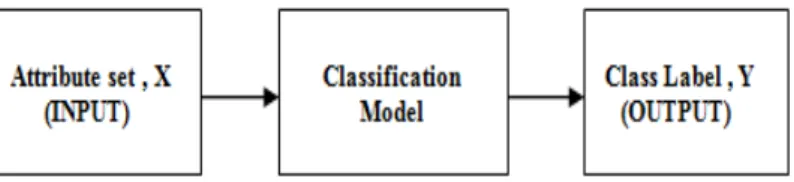 Figure 1  Classification problem as the task of mapping 