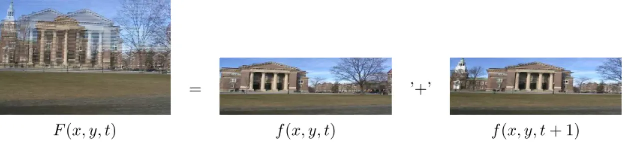 Figure 2.1: One half of the scan lines, f (x, y, t), of a full video frame are recorded at time t, and the other half of the scan lines, f (x, y, t + 1) are recorded at time t + 1