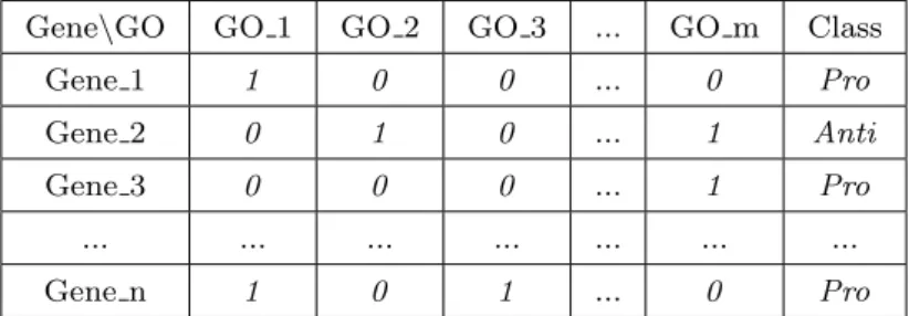 Fig. 4: Structure of the Created Datasets