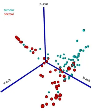 Figure 4.3: 3D visualisation of the first three principal components of the prostate cancer dataset (created using the VRMLGen software [24], see chapter 8).
