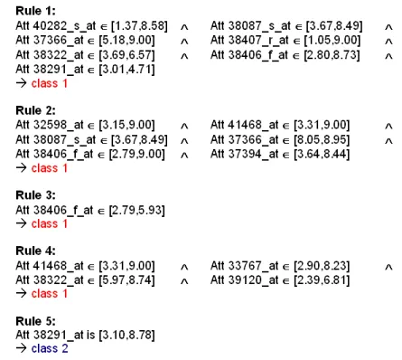 Figure 4.5: Example for a BioHEL classification rule set for the prostate cancer dataset (“Att” is short for “Attribute”,