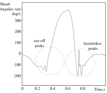Figure 9. Shank angular velocity showing the presence of peaks during the toe-off and heel strike