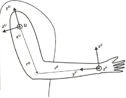 Figure 13. The forearm and upper arm reference frames. [25]