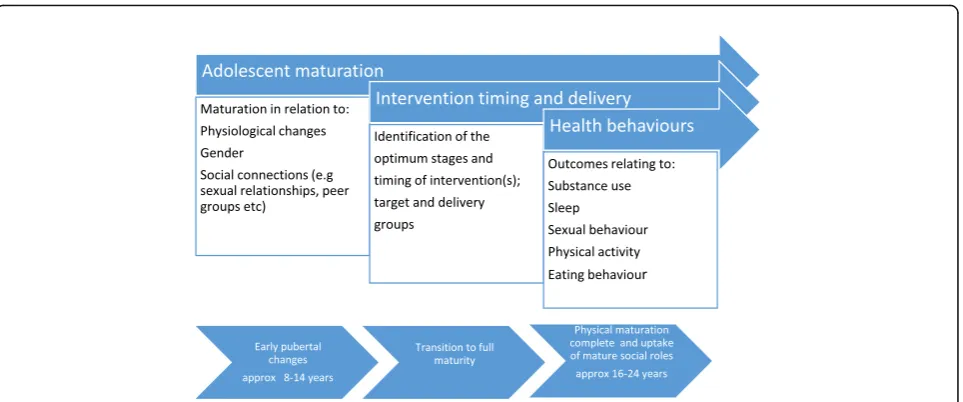 Fig. 1 Factors for consideration in relation to adolescent intervention development
