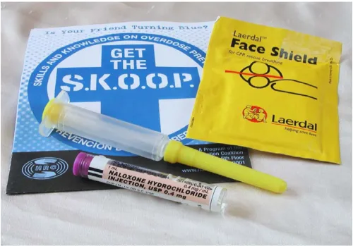 Figure 3The naloxone kit provided to participants in the SKOOP programThe naloxone kit provided to participants in the SKOOP program
