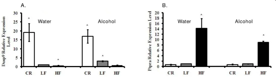 Fig. 7D).