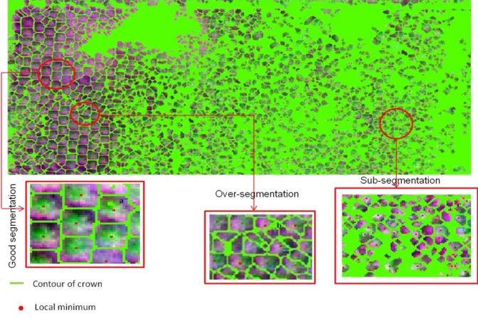 Figure 6: Watershed result (Marc Delorme station). 