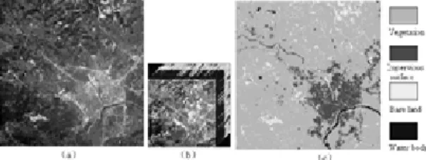 Fig. 1 Hyperion, Alos and classified images. (a)Alos data；(b)Hyperion image displayed as R=770nm、G=658nm、