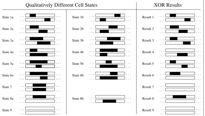 Figure 4. List of qualitatively different cell states.