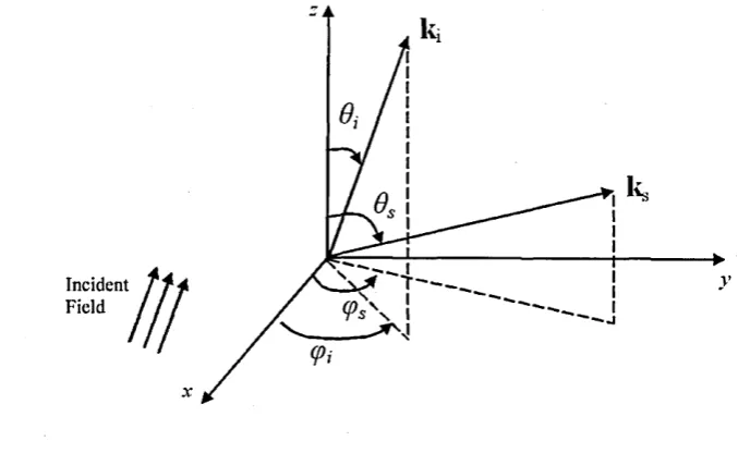 Figure 3.4: Scattering Geometry for the modified Rayleigh-Debye approximation