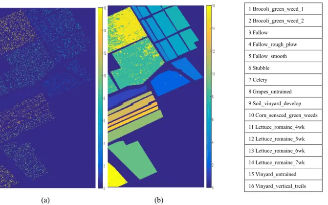 Fig. 6 Salinas data set: (a) Training samples; (b) Testing classification results. 