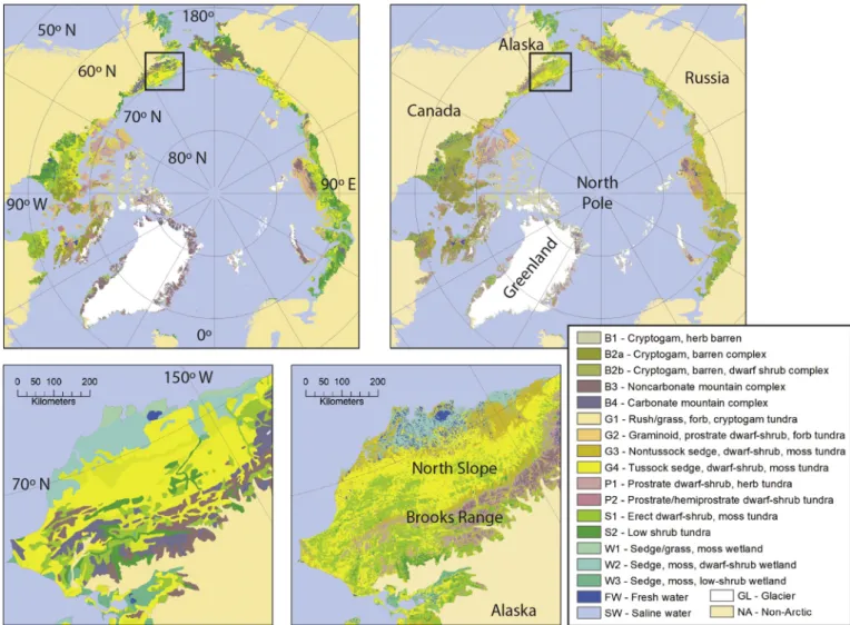 Fig. 1. Comparison of the original vector CAVM (top left) and new Raster CAVM (top right), and zoom in to northern Alaska (vector bottom left, raster bottom right).
