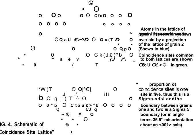 FIG. 4. Schematic of 
