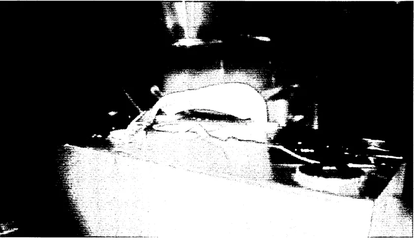 FIG. 51. The mark 6, MgO coated converter plate, in place on the hot stage just prior to the first successful heating run