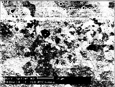 FIG. 55.1050 Aluminium at 0:09 Scale bar is 5/jm.