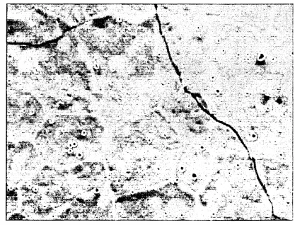 FIG. 57.1050 Aluminium at 2:37 +  13 frames. Approximately 650°C, scale bar is 50/im. Showing sinking/etching at grain boundaries and triple points, as melting commences.