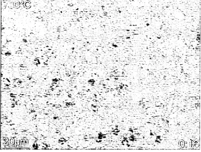 FIG. 60. Fresh austenite crystals, 120 seconds after first evidence of transformation