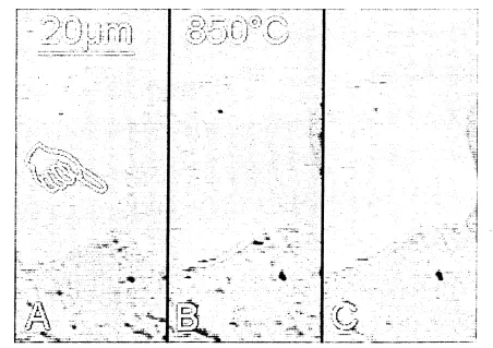 FIG. 63, A, B & C. Image sequence of grain boundary advancing Si retreating.A at 1:16, B at 1:20, C at 1:28 (total 240 sec real time).