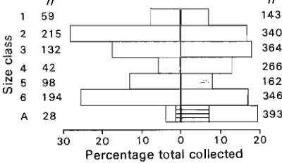 Fig. 9 Percentage of collected date same as Fig. the total number of cockroaches in the year on each collection date (n for each 10, II)