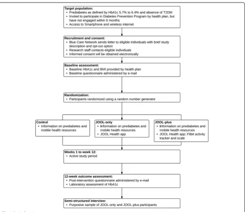Fig. 1 Study flow diagram