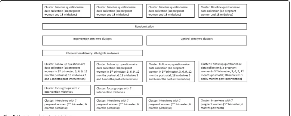 Fig. 1 Overview of cluster trial design
