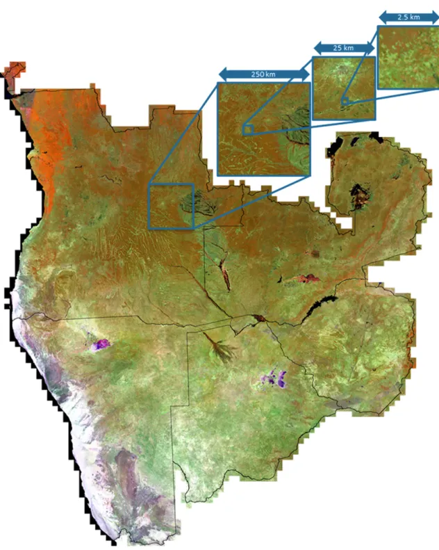 Figure 9. Best-available-pixel composite (near-infrared, shortwave infrared, red in RGB) for Angola,  Zambia, Zimbabwe, Botswana, and Namibia