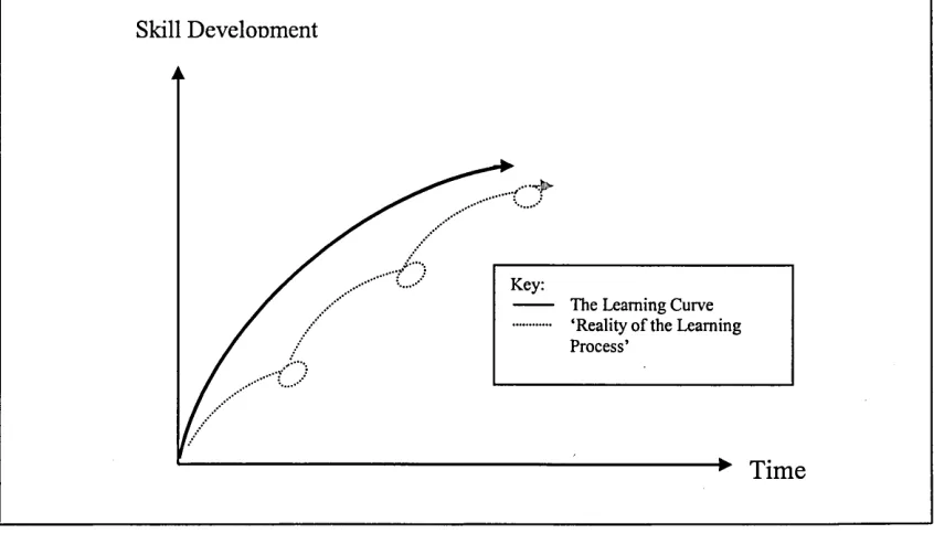 Figure 3.3.3.4: The Learning Curve (Adopted from Martins (1998) &Torrington et al (2002))