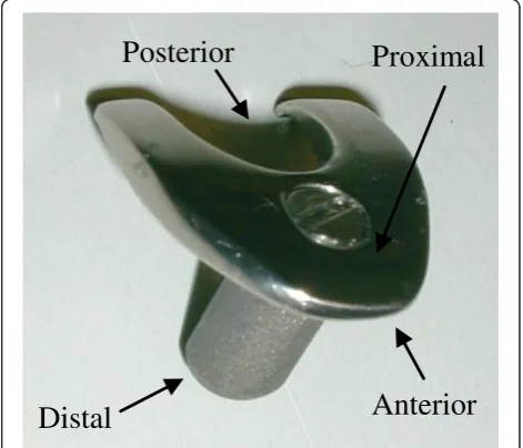 Figure 1 The rabbit tibia prosthesis. The prosthesis stem is madeof titanium, has a 3.5-mm diameter and 8-mm length, and is notside specific