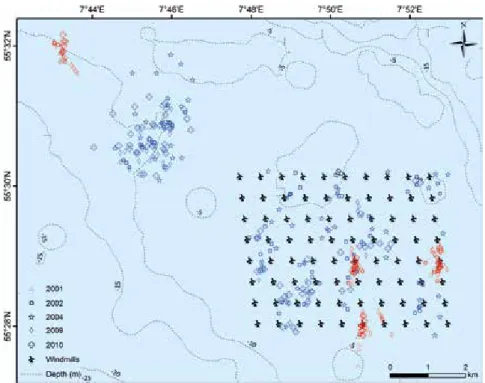 figure 3.1  Sampling locations for sandeels in the Horns Rev 1 area. Control areas used in both the sandeel and fish community  studies are located northwest of the impact area – the wind farm