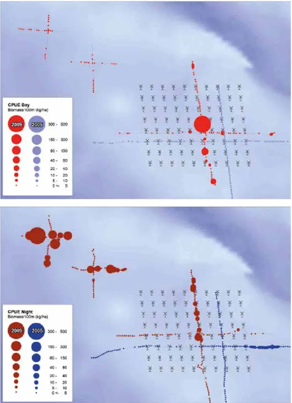 figure 3.3  Biomass distribution pattern of pelagic and migrating fish (eg. cod and whiting) in the impact  and control areas in September 2005 and 2009 measured in the horizontal hydro-acoustic survey.