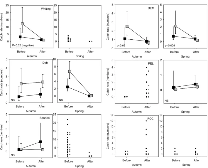 figure 3.4  Catch rate per gillnet for whiting, dab and sandeel for  autumn and spring surveys in Control (grey) and Impact (black)
