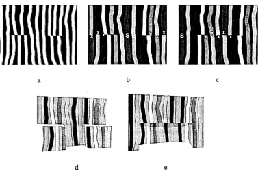 Figure 1.7.1: Synthetic pattern of stripes showing two possible interpretations.