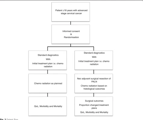 Fig. 2 Patient flow