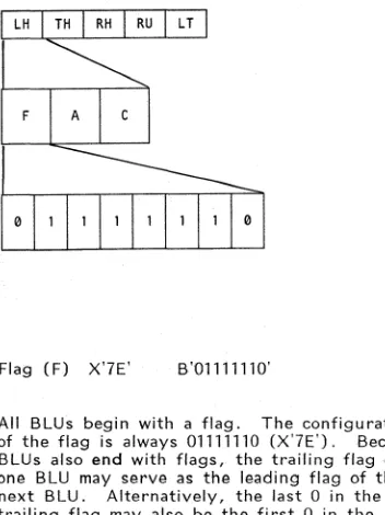 Figure 1-1. Flags 