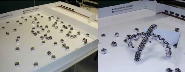 Figure 11. Symbrion and Replicator projects.