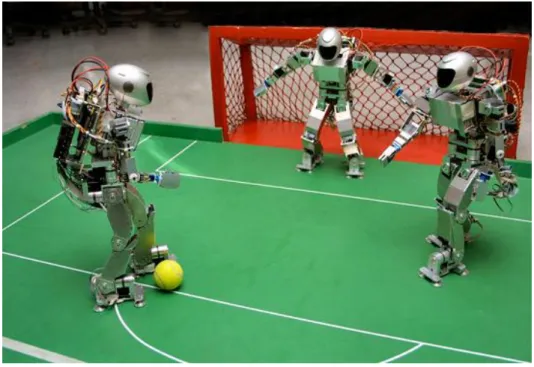 Figure 13. Robocup 
