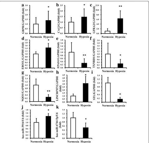 Fig. 3 The expression levels of selected mRNAs, lncRNAs, and miRNAs of DPSCs by real-time RT-PCR