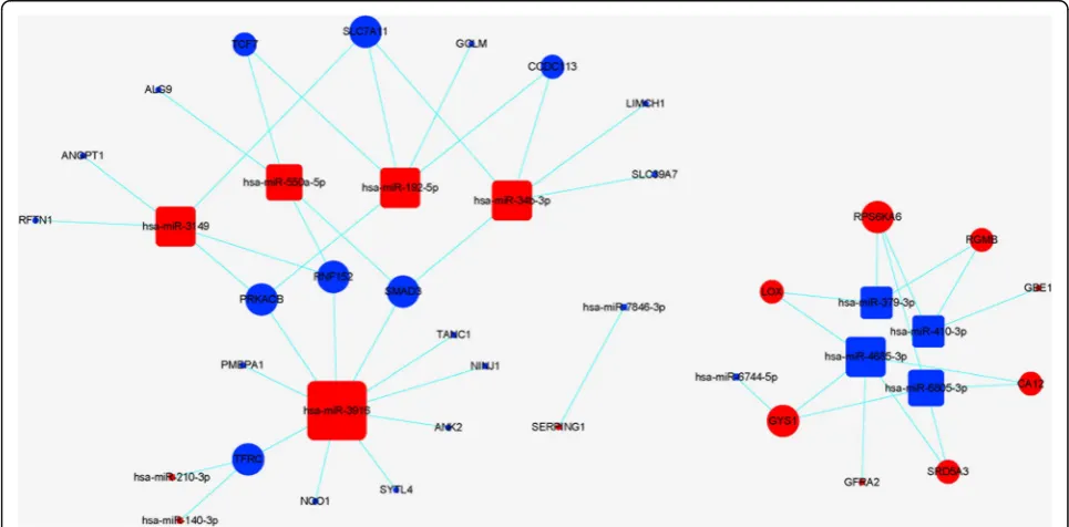 Fig. 4 The coexpression network (CNC) of mRNAs and lncRNAs of DPSCs in hypoxia. Circles represent upregulated (red) and downregulated(blue) mRNAs in DPSCs in hypoxia