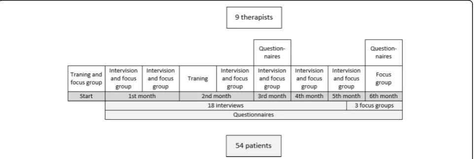 Fig. 2 Timeline for community of practice for therapists and data collection for participating patients