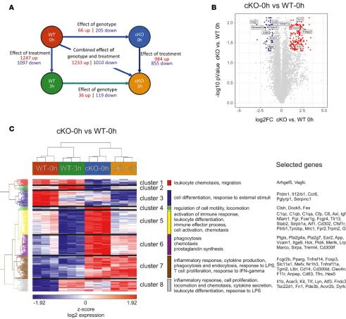 Figure 6. CD83 deletion on Tregs leads to highly differential gene expression. (expressed genes have been highlighted