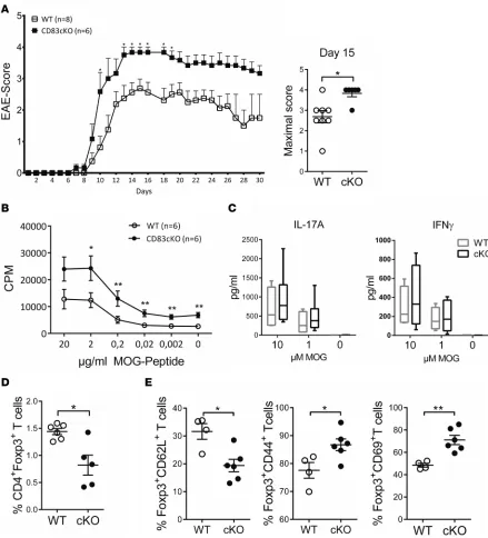 Figure 2. CD83cKO mice developed an exacerbated and long-lasting EAE pathology. (A) EAE was induced in female cKO mice or wild-type (WT) control animals by immunization with myelin oligodendrocyte glycoprotein peptide 35–55 (MOG35–55) in complete Freund’s 