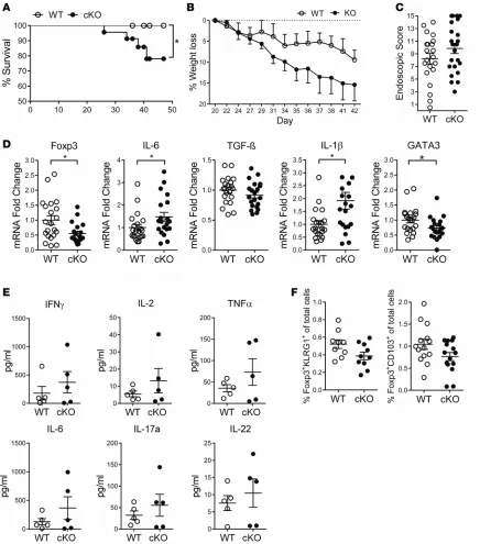 Figure 4. Aggravated adoptive transfer colitis after transfer of CD83cKO CD4+mice. Percentage of survival, WT The severity of transfer colitis symptoms was determined with the murine endoscopic score of colitis severity