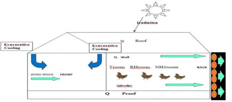 Figure 2.3: System Flow in the Closed Poultry Houses. 