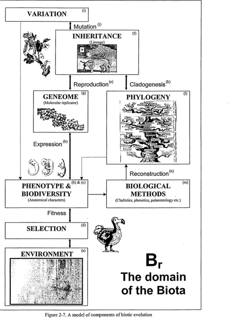 Figure 2-7. A model of components of biotic evolution