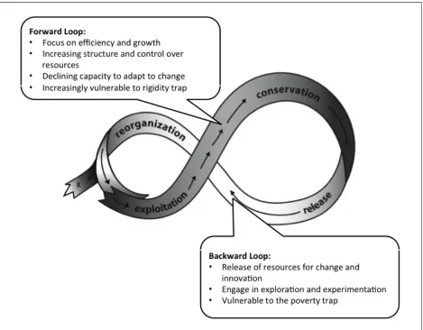 Figure 1. The Adaptive Cycle of Growth and Release (based on Holling, 1986, 2001; see also Stroink & Nelson, 2013) 