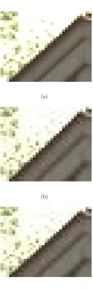 Figure 2.6: A visual result of image ‘24’ from the Kodak dataset coded by JPEG using a quality factor of 80%