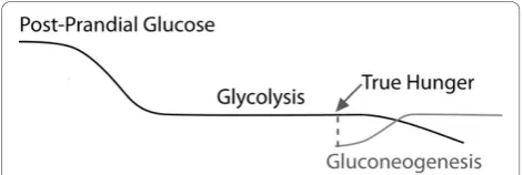 Figure 10 THE GLUCOSE RESPONSE CURVE. True hunger occurswhen glycogen stores are depleted, so that gluconeogenesis canbe avoided.