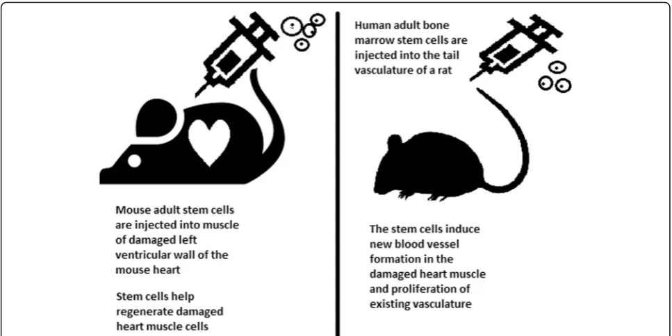Table 1 Types of stem cells in human exfoliated deciduousteeth