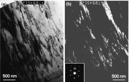 FIG 11 Cross-sectional (a) BF and (b) DF micrographs of TiAlN/VN coating grown at -95V, showing competitive columnar growth, void-free structure densification, and the smooth coating surface